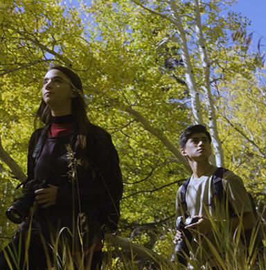 students with cameras walking through woods